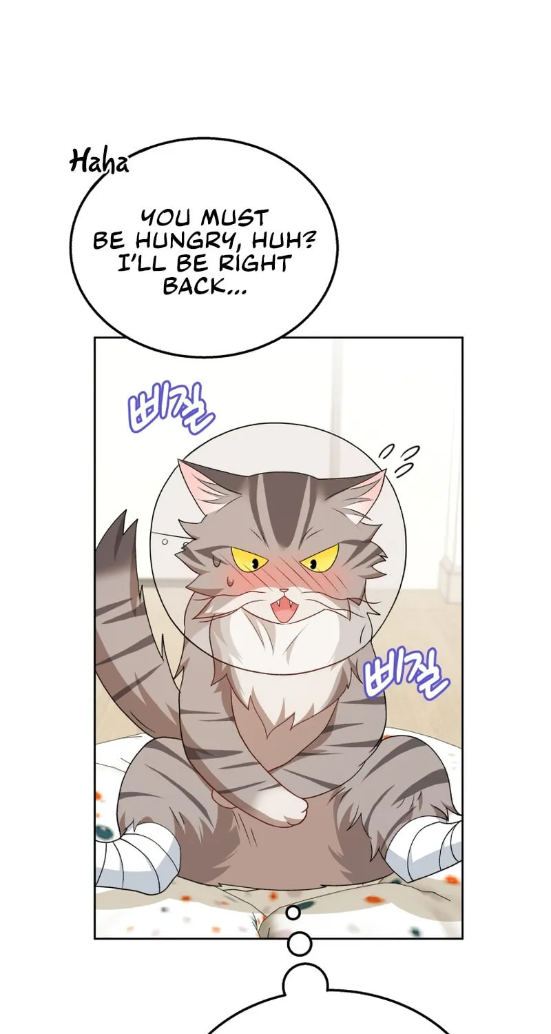Veterinarian! Hello? Chapter 15 page 52 - 