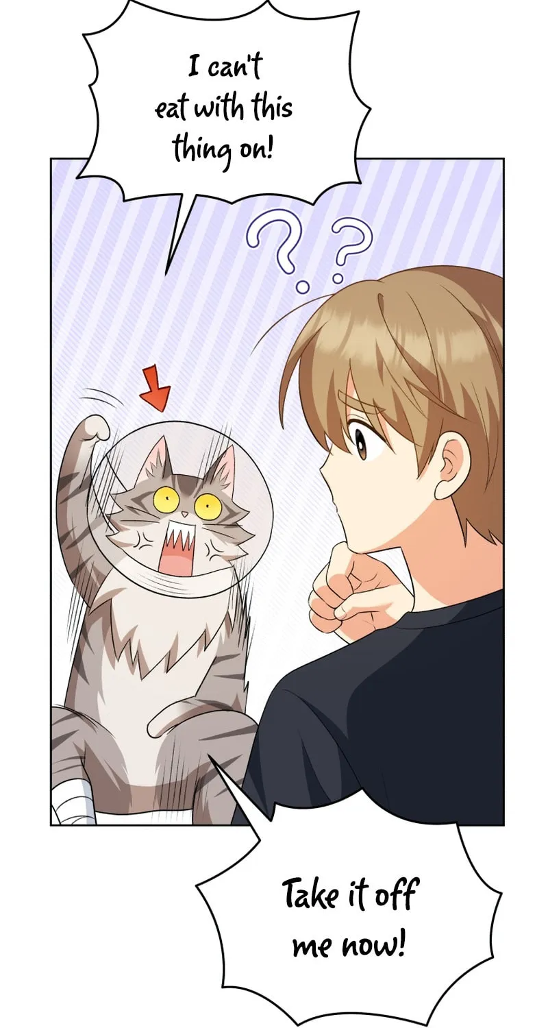 Veterinarian! Hello? Chapter 15 page 59 - 