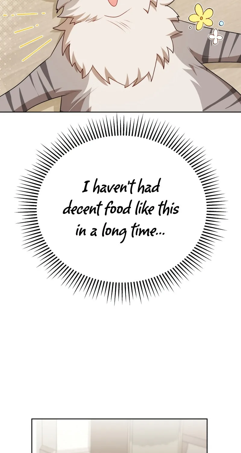 Veterinarian! Hello? Chapter 15 page 68 - 