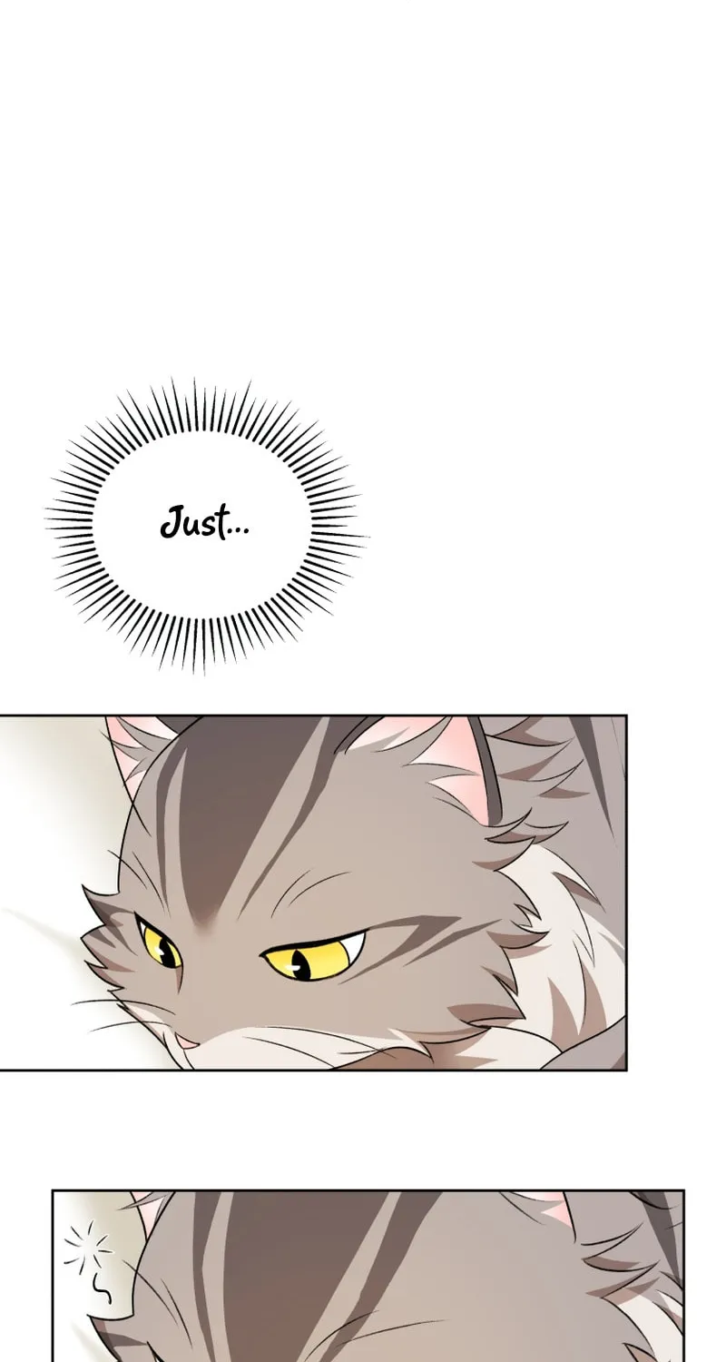 Veterinarian! Hello? Chapter 15 page 73 - 