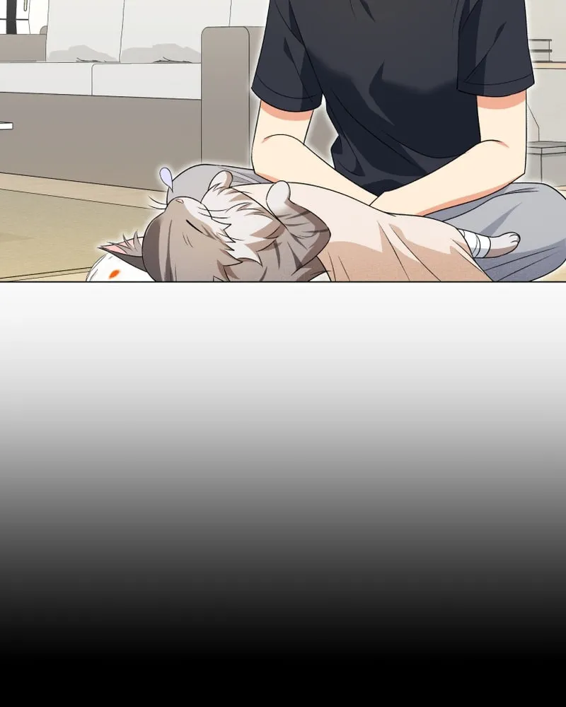 Veterinarian! Hello? Chapter 15 page 78 - 