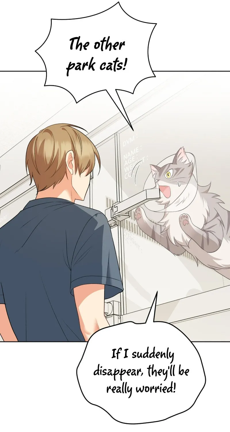 Veterinarian! Hello? Chapter 15 page 9 - 