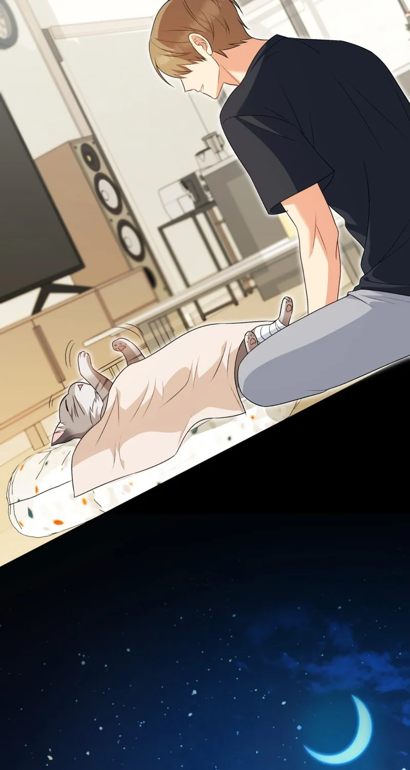 Veterinarian! Hello? Chapter 15 page 81 - 