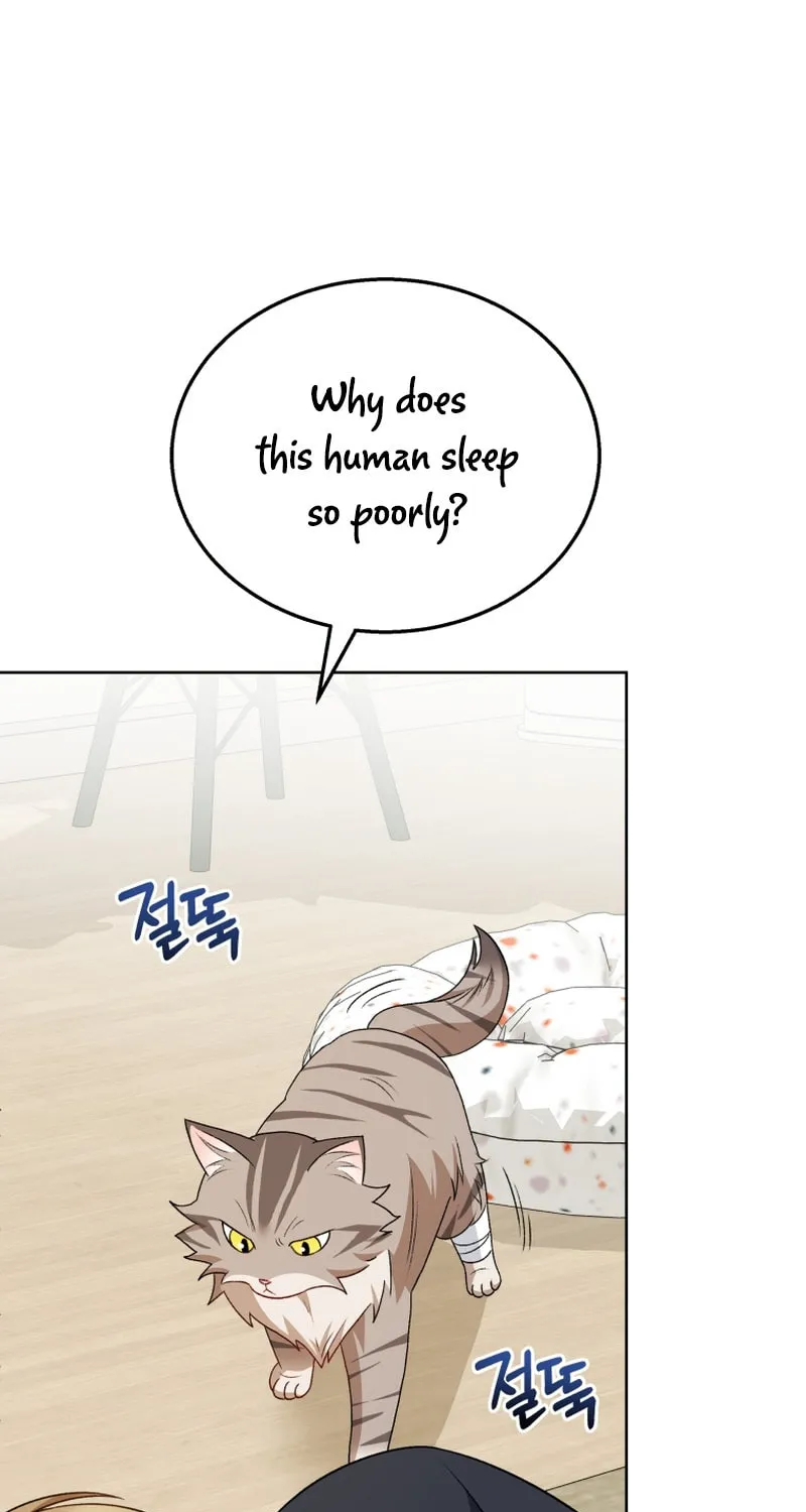 Veterinarian! Hello? Chapter 15 page 88 - 