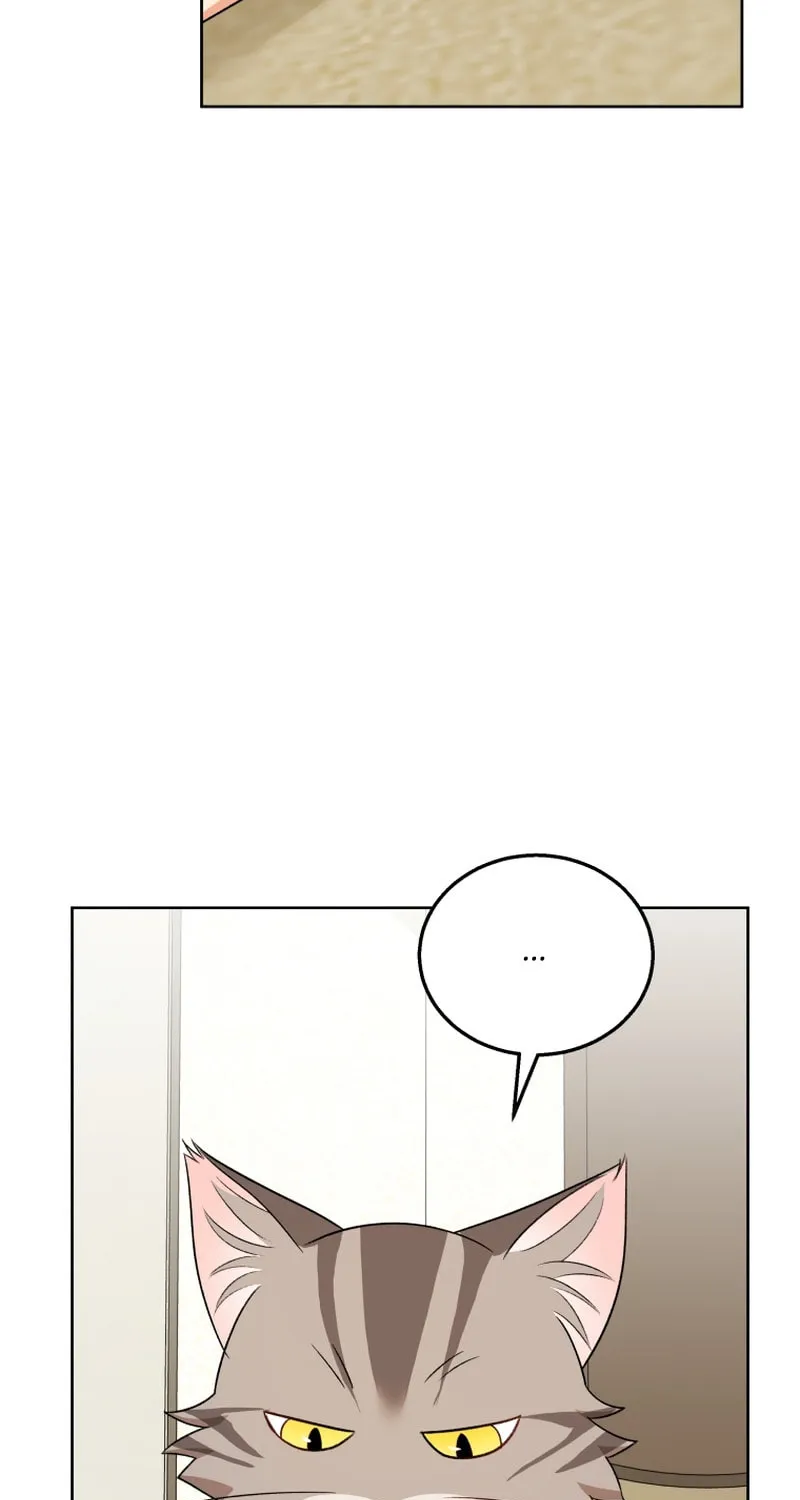 Veterinarian! Hello? Chapter 15 page 90 - 