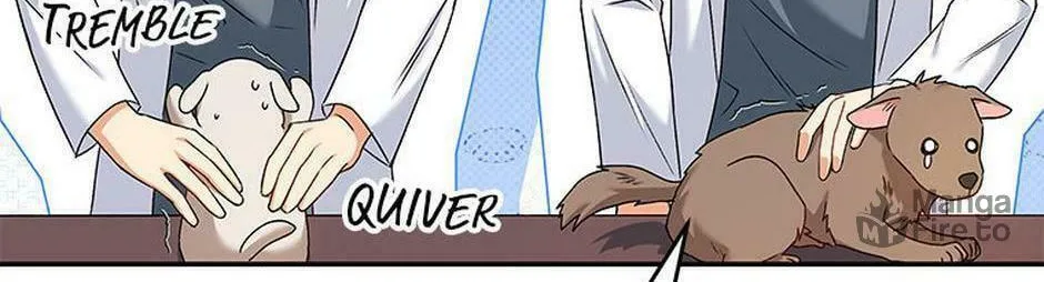 Veterinarian! Hello? Chapter 16 page 102 - 