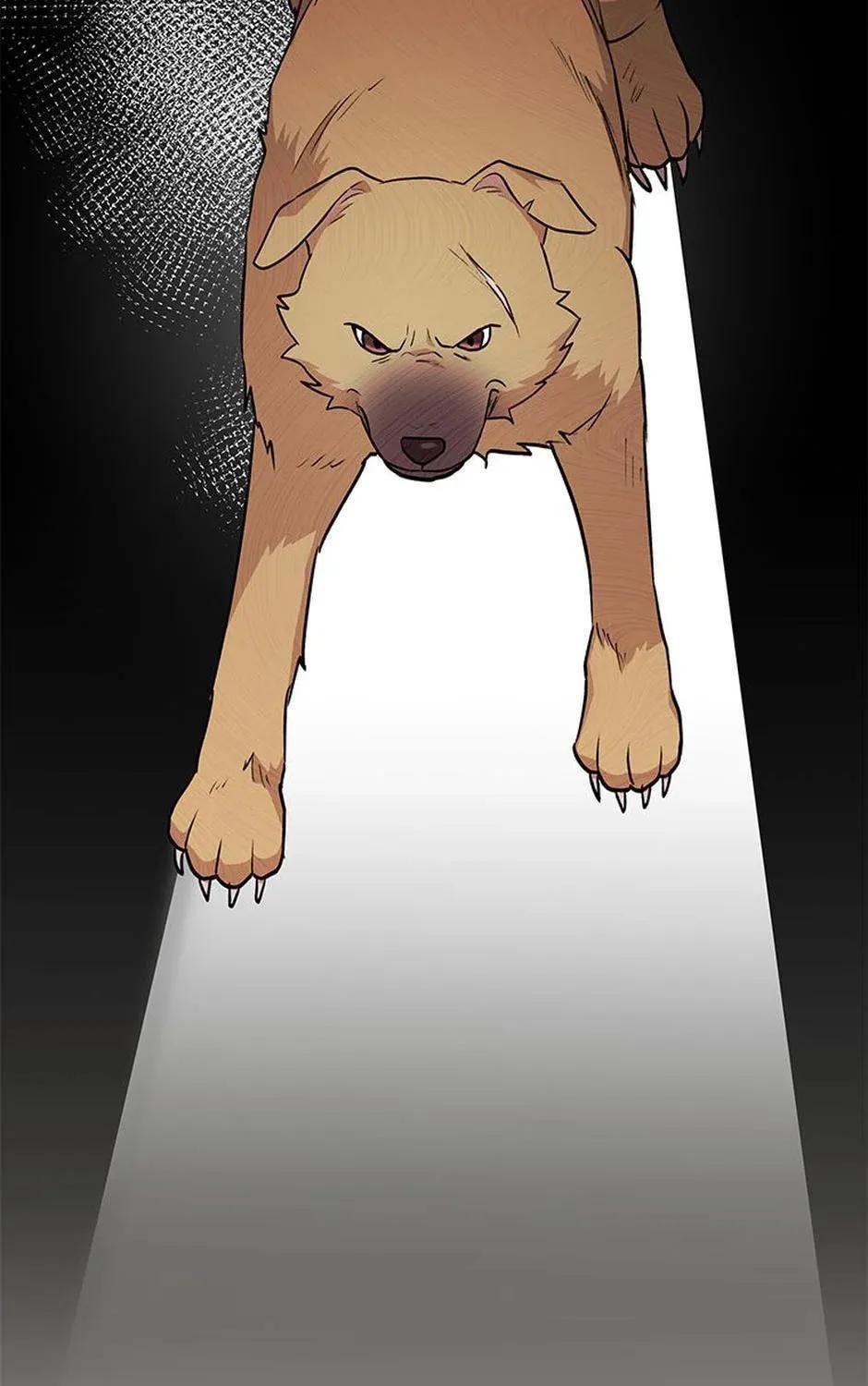 Veterinarian! Hello? Chapter 17 page 21 - 
