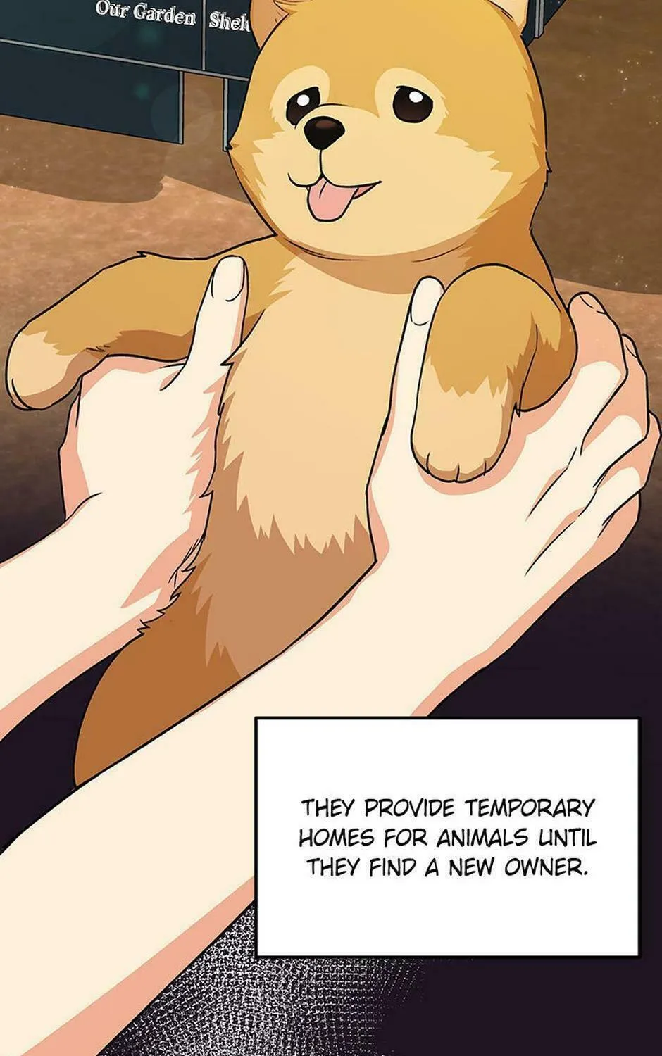 Veterinarian! Hello? Chapter 17 page 64 - 