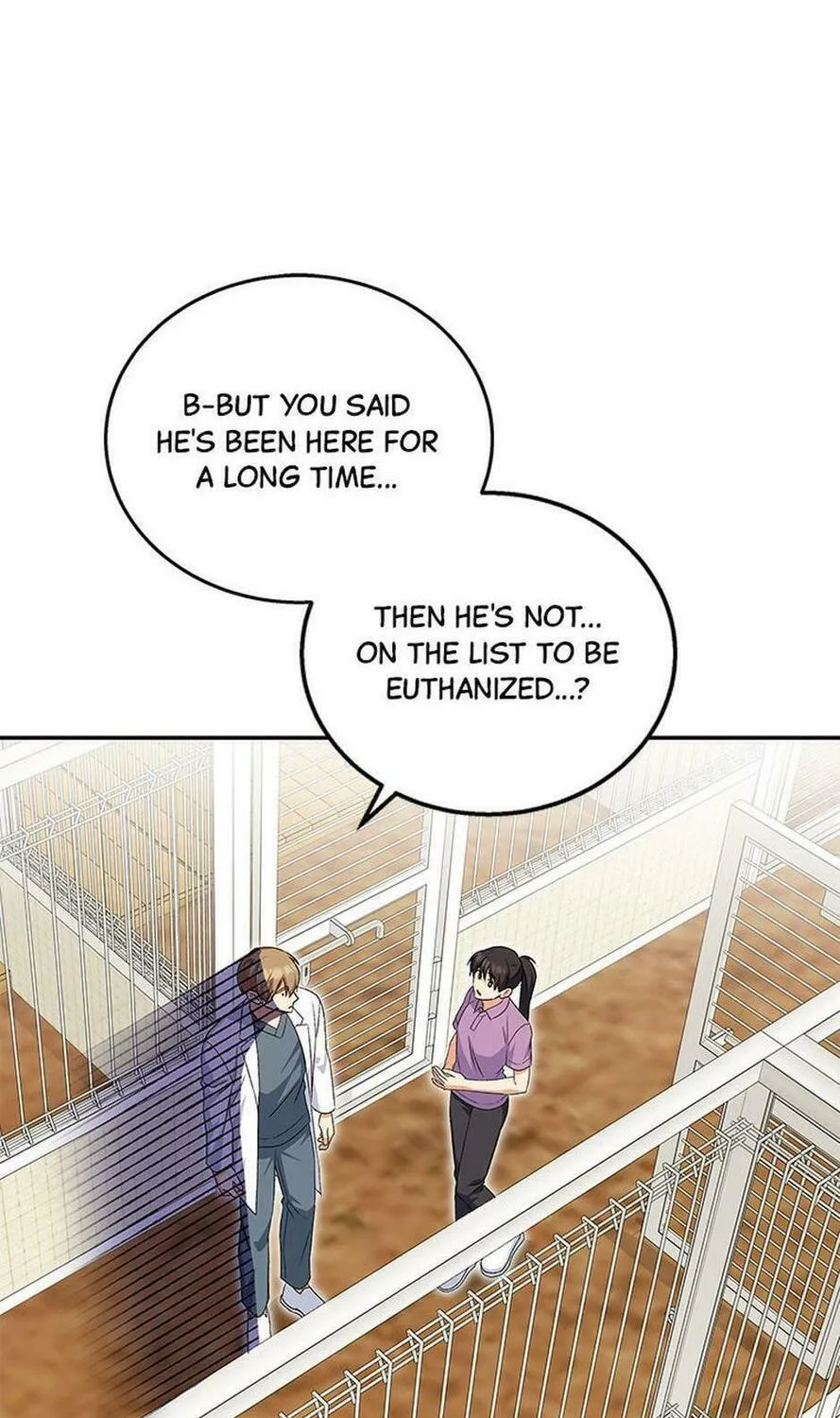 Veterinarian! Hello? Chapter 19 page 112 - 