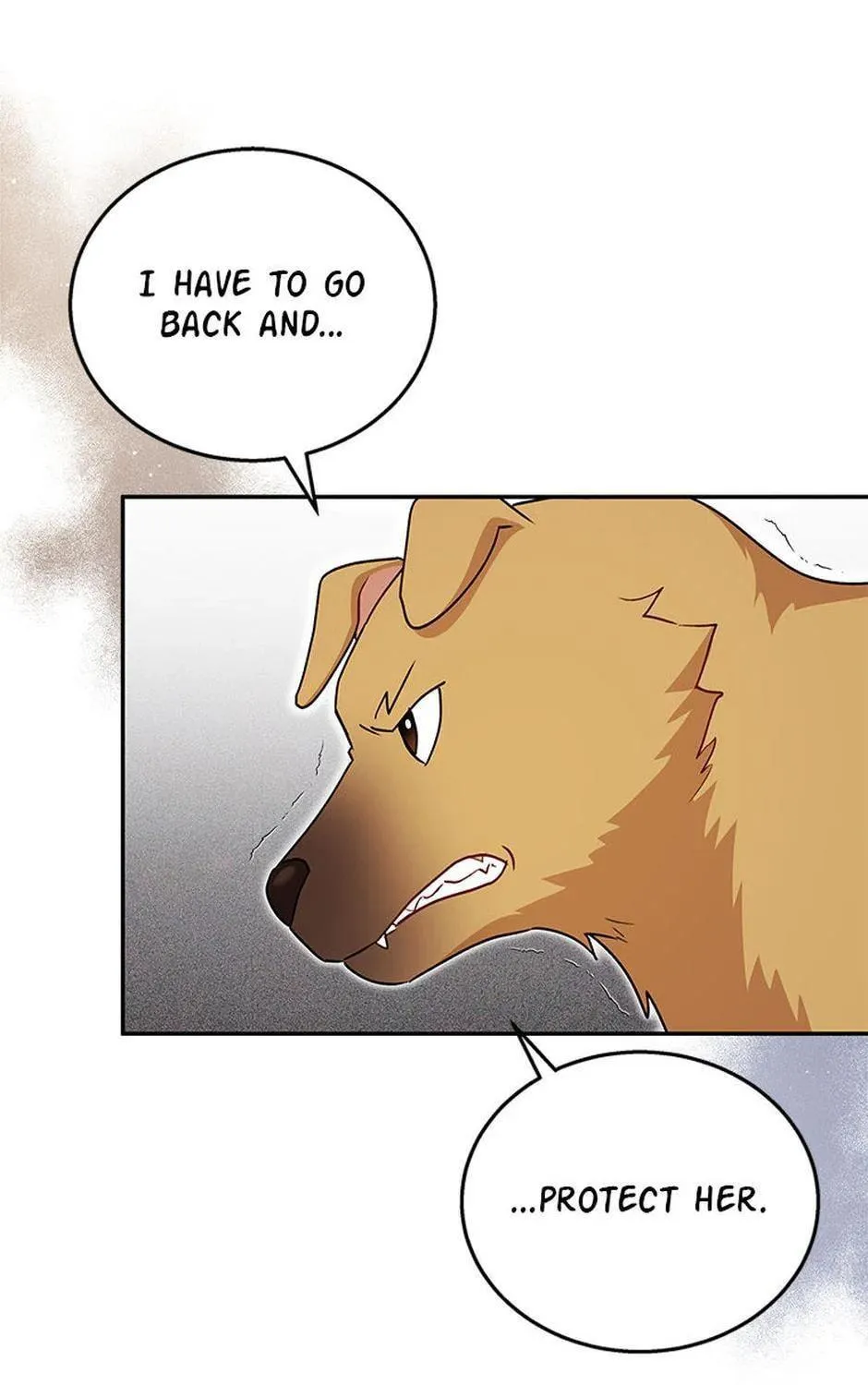 Veterinarian! Hello? Chapter 19 page 28 - 