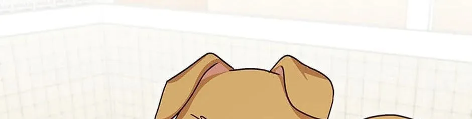 Veterinarian! Hello? Chapter 19 page 37 - 