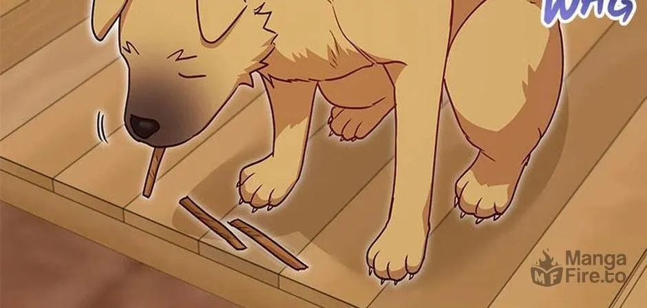 Veterinarian! Hello? Chapter 19 page 71 - 