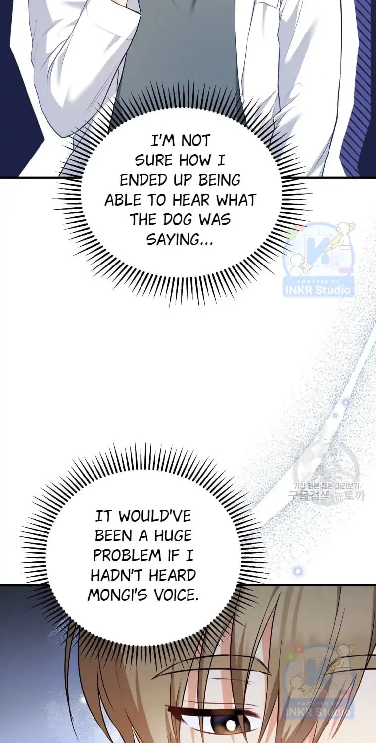 Veterinarian! Hello? Chapter 2 page 13 - 