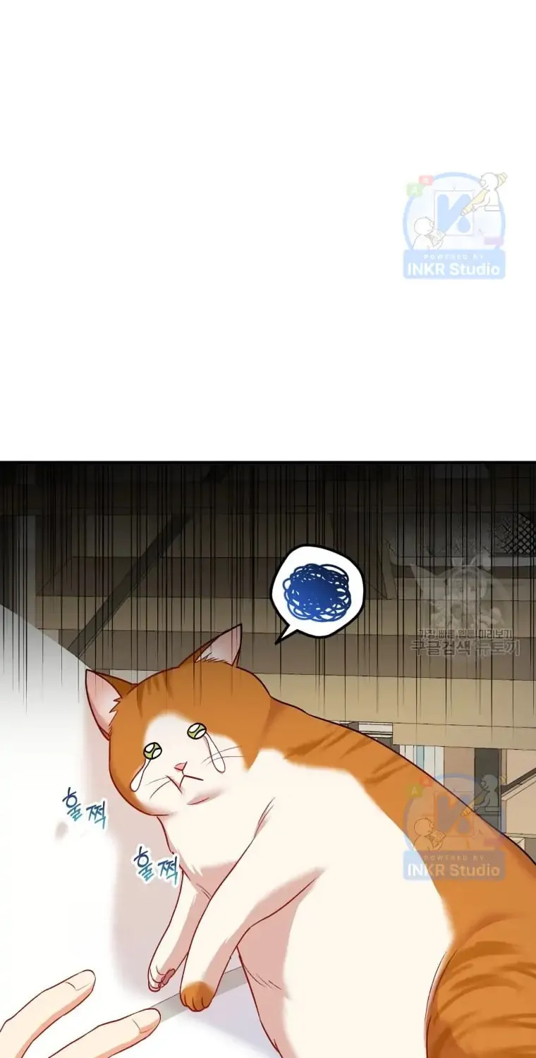 Veterinarian! Hello? Chapter 2 page 21 - 