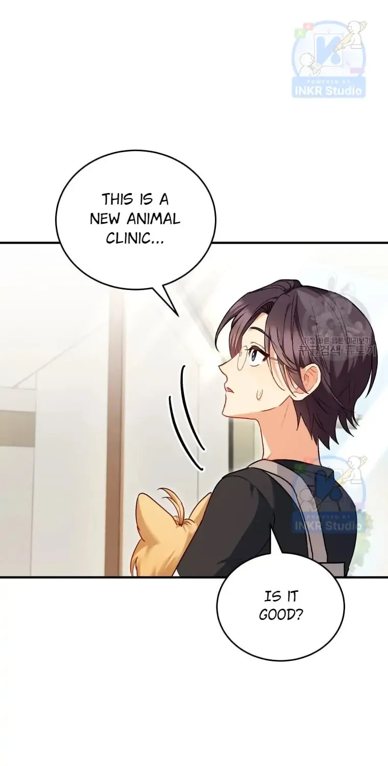 Veterinarian! Hello? Chapter 2 page 37 - 