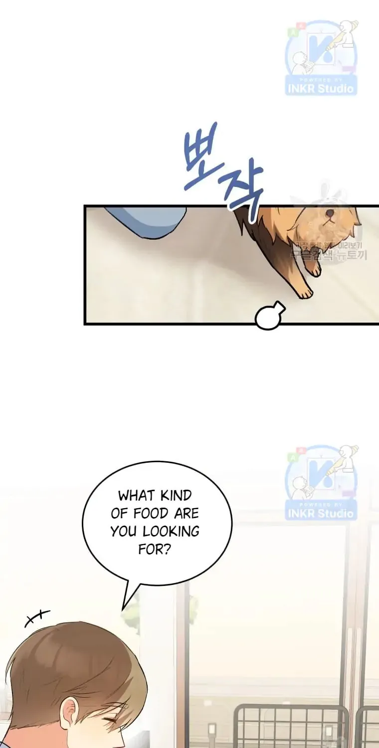 Veterinarian! Hello? Chapter 2 page 44 - 