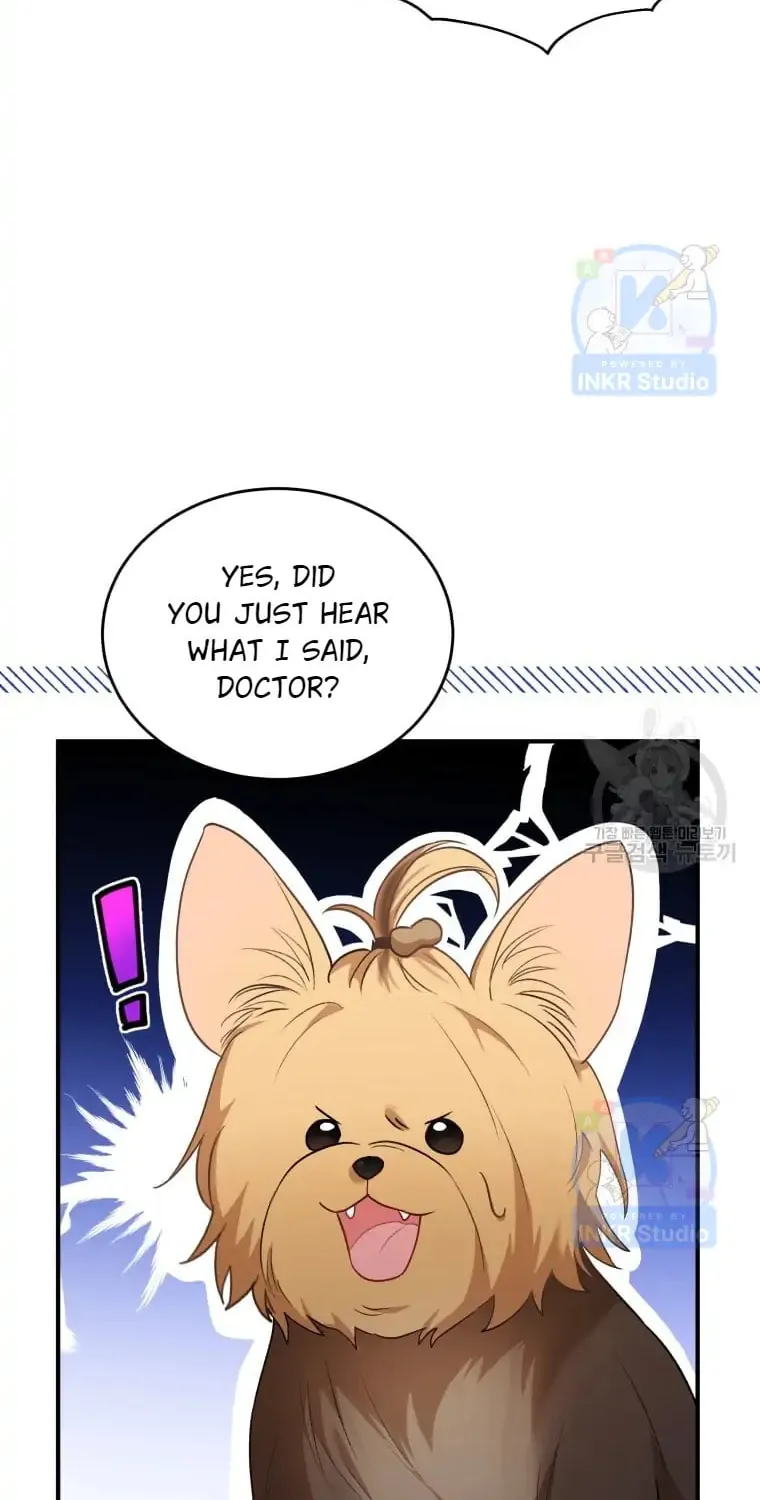 Veterinarian! Hello? Chapter 2 page 49 - 