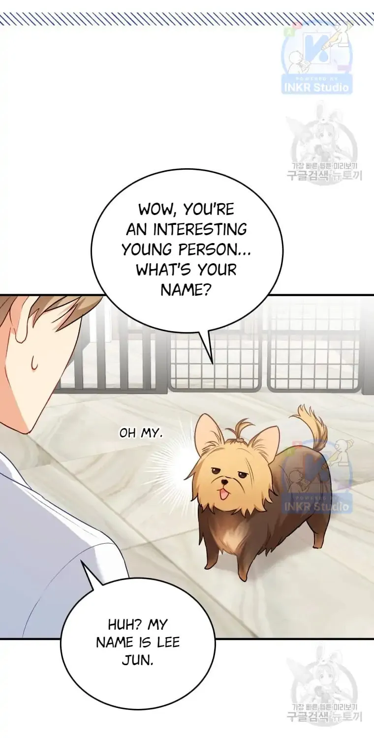 Veterinarian! Hello? Chapter 2 page 51 - 