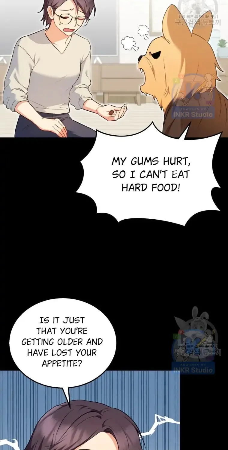 Veterinarian! Hello? Chapter 2 page 59 - 