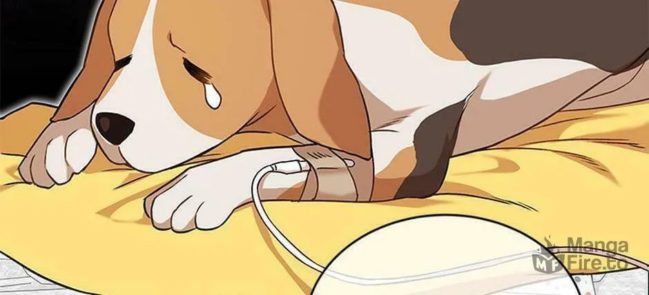 Veterinarian! Hello? Chapter 20 page 24 - 