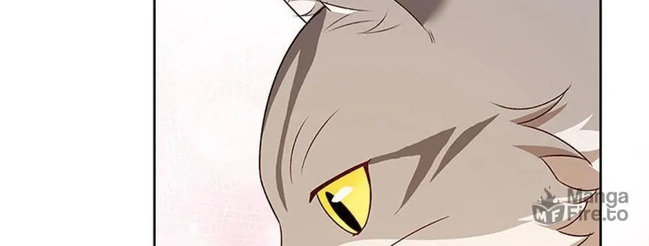 Veterinarian! Hello? Chapter 21 page 130 - 