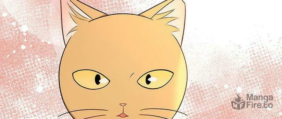 Veterinarian! Hello? Chapter 21 page 140 - 