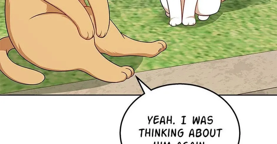 Veterinarian! Hello? Chapter 21 page 64 - 