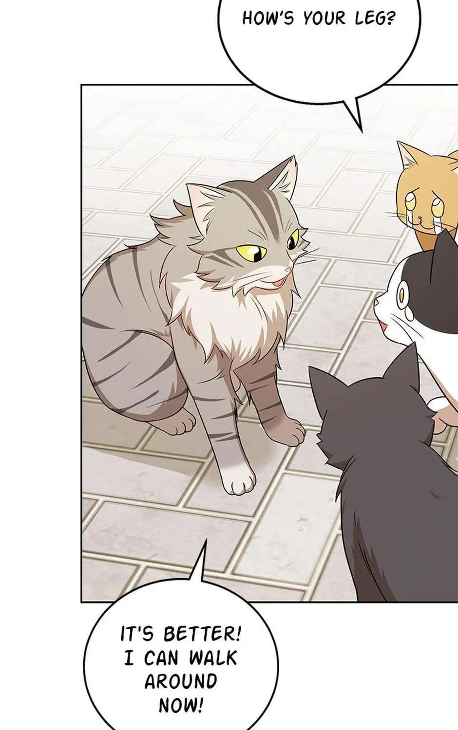 Veterinarian! Hello? Chapter 21 page 85 - 