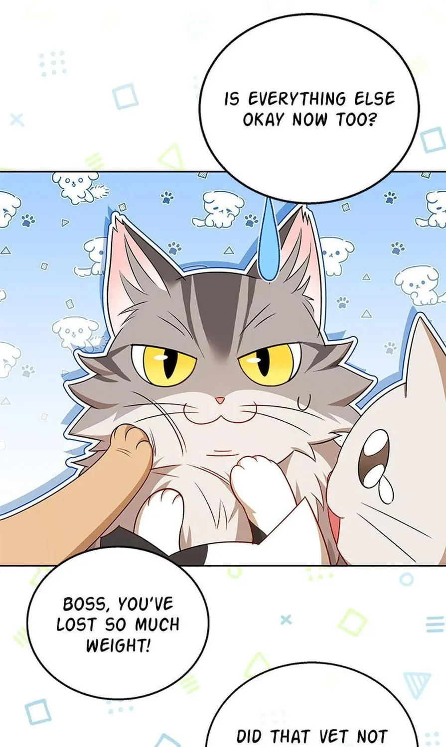 Veterinarian! Hello? Chapter 21 page 87 - 