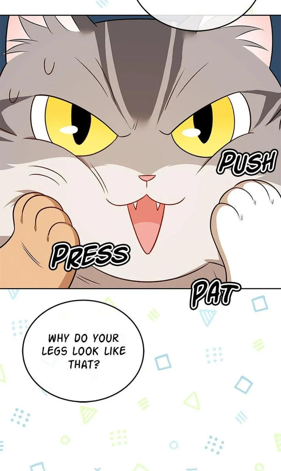 Veterinarian! Hello? Chapter 21 page 89 - 