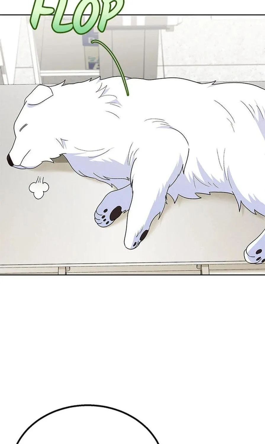 Veterinarian! Hello? Chapter 23 page 23 - 