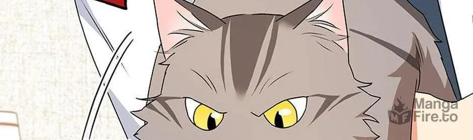 Veterinarian! Hello? Chapter 24 page 47 - 