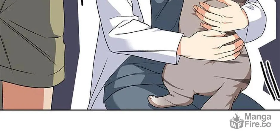 Veterinarian! Hello? Chapter 24 page 57 - 