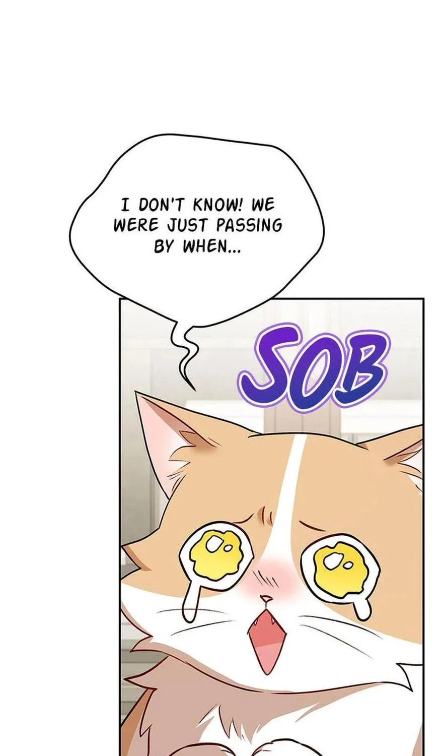 Veterinarian! Hello? Chapter 25 page 11 - 