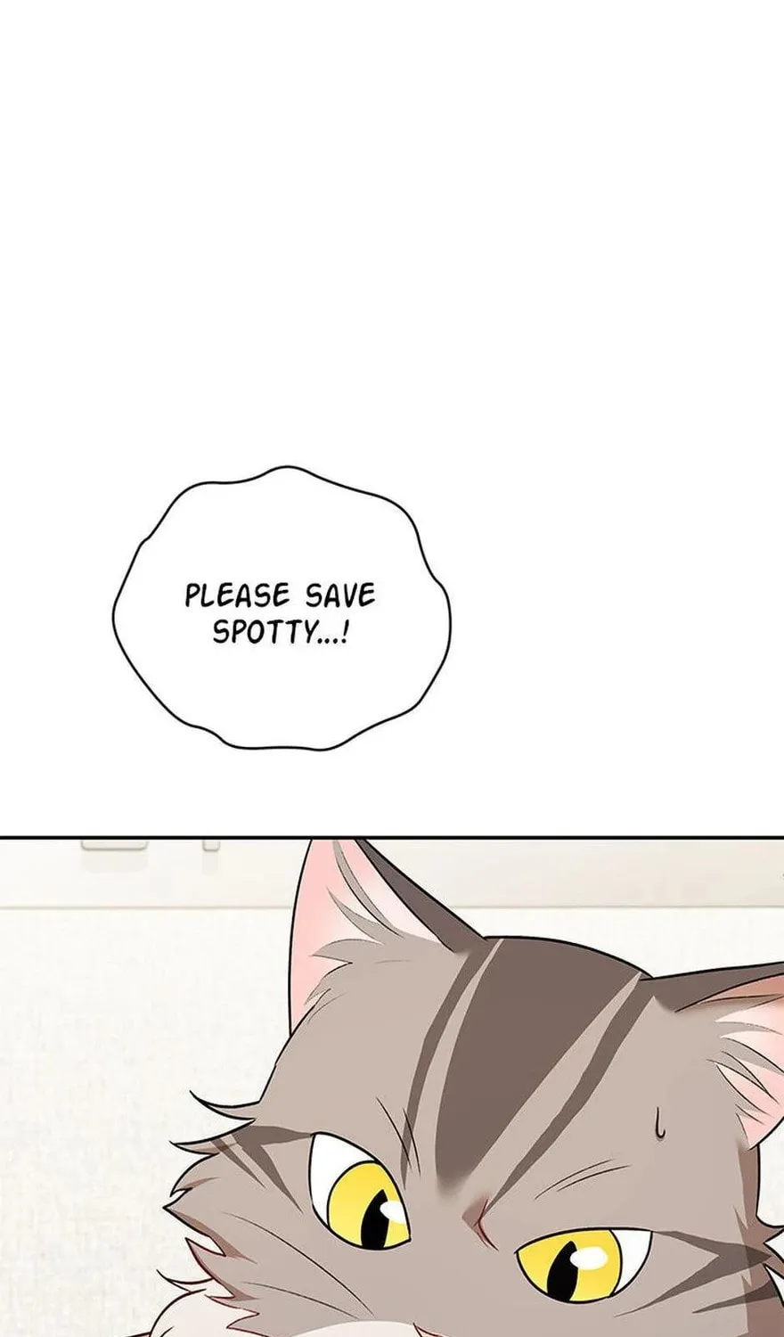 Veterinarian! Hello? Chapter 25 page 13 - 