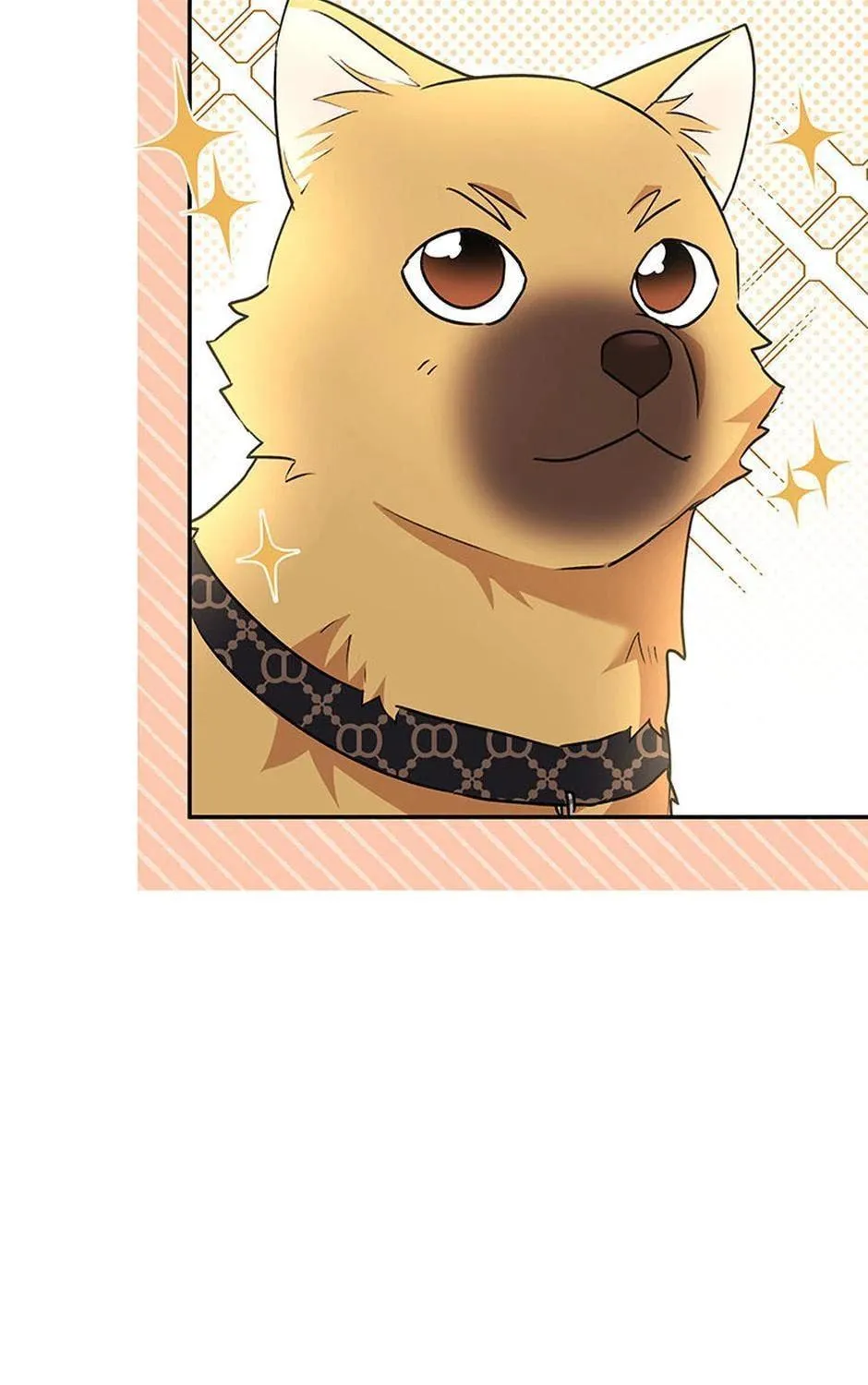 Veterinarian! Hello? Chapter 26 page 159 - 