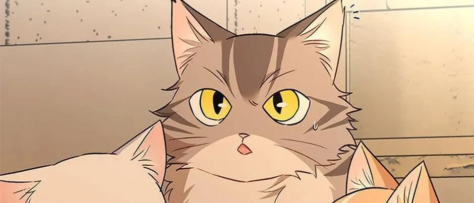Veterinarian! Hello? Chapter 26 page 44 - 