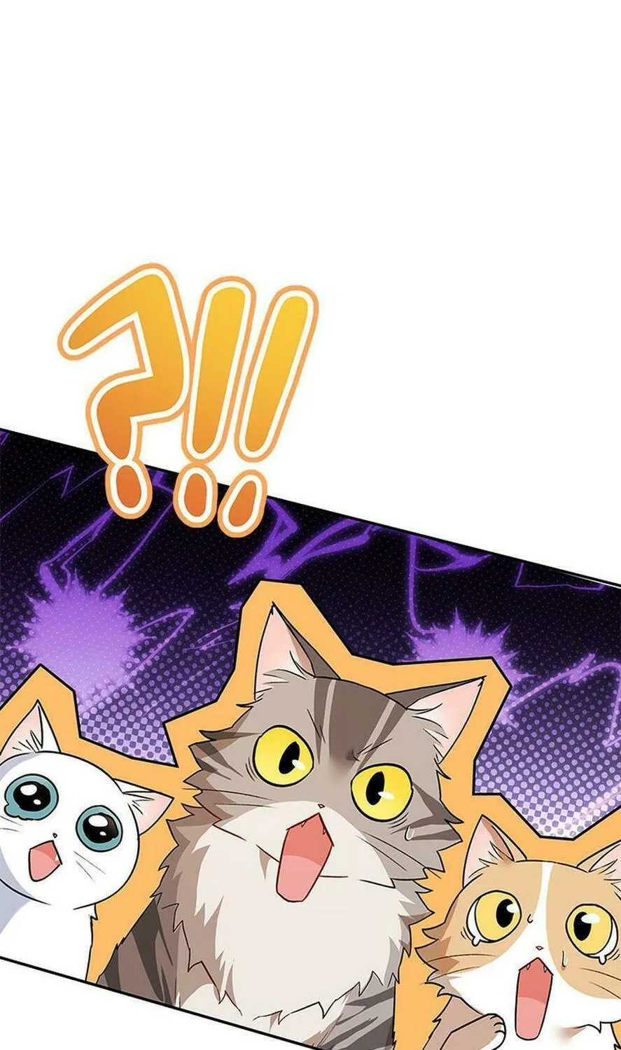 Veterinarian! Hello? Chapter 26 page 53 - 