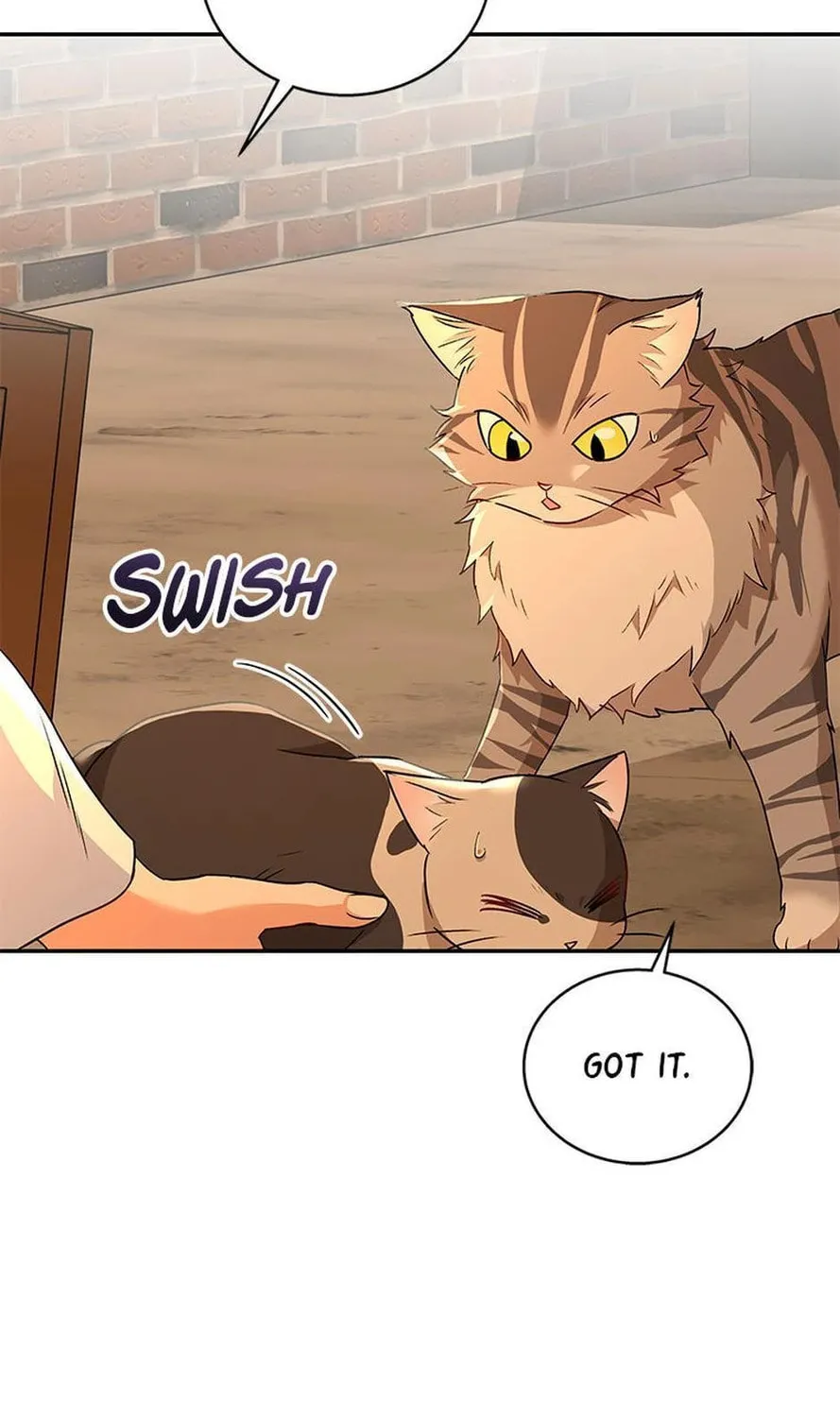 Veterinarian! Hello? Chapter 26 page 61 - 