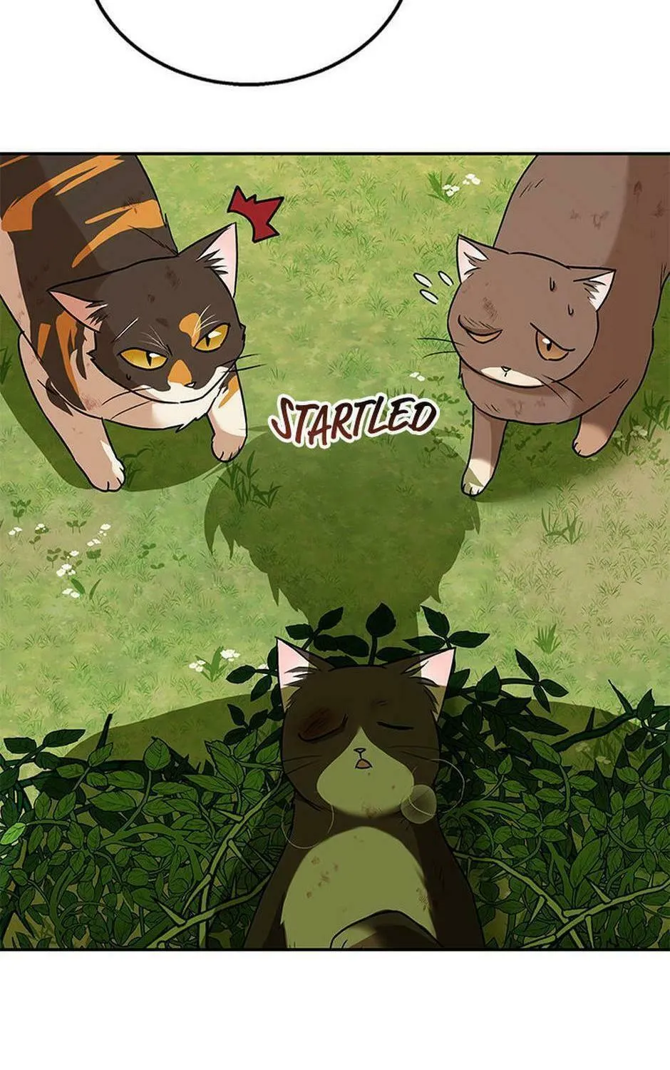 Veterinarian! Hello? Chapter 27 page 101 - 