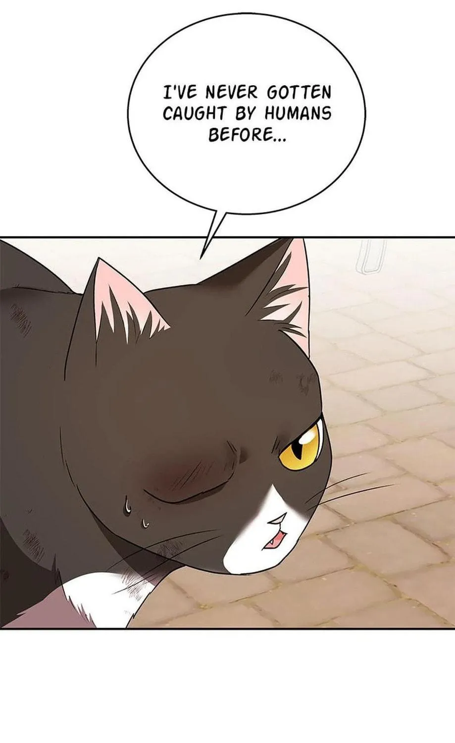 Veterinarian! Hello? Chapter 27 page 17 - 