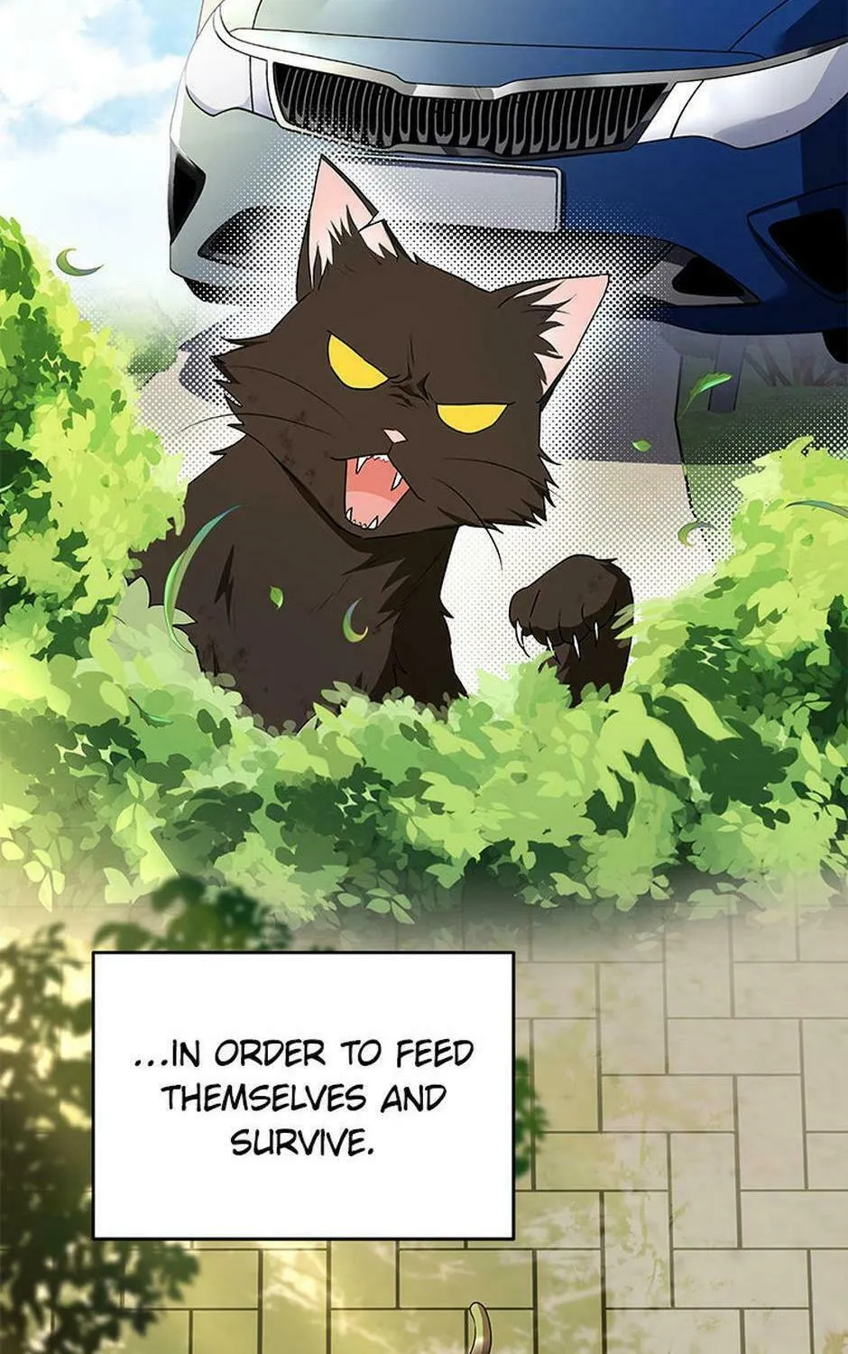 Veterinarian! Hello? Chapter 27 page 3 - 