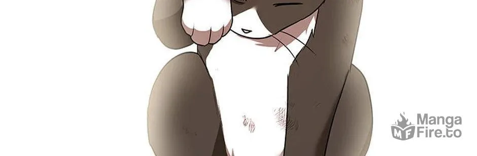 Veterinarian! Hello? Chapter 27 page 36 - 