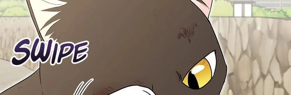 Veterinarian! Hello? Chapter 27 page 38 - 