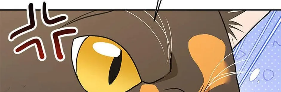 Veterinarian! Hello? Chapter 27 page 46 - 