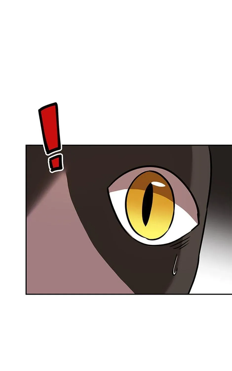 Veterinarian! Hello? Chapter 27 page 73 - 