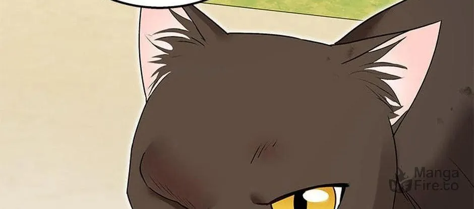Veterinarian! Hello? Chapter 27 page 10 - 