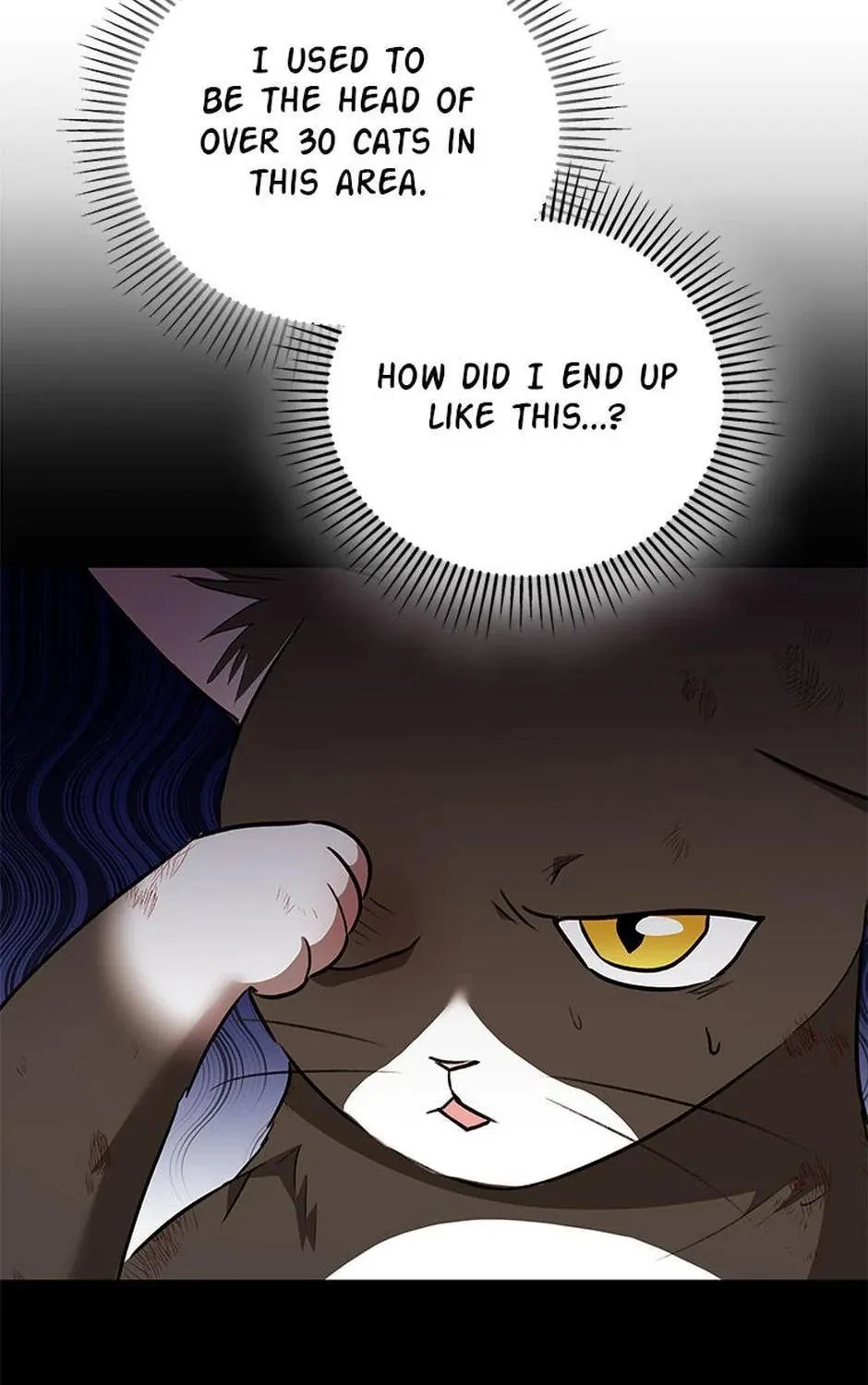 Veterinarian! Hello? Chapter 27 page 91 - 
