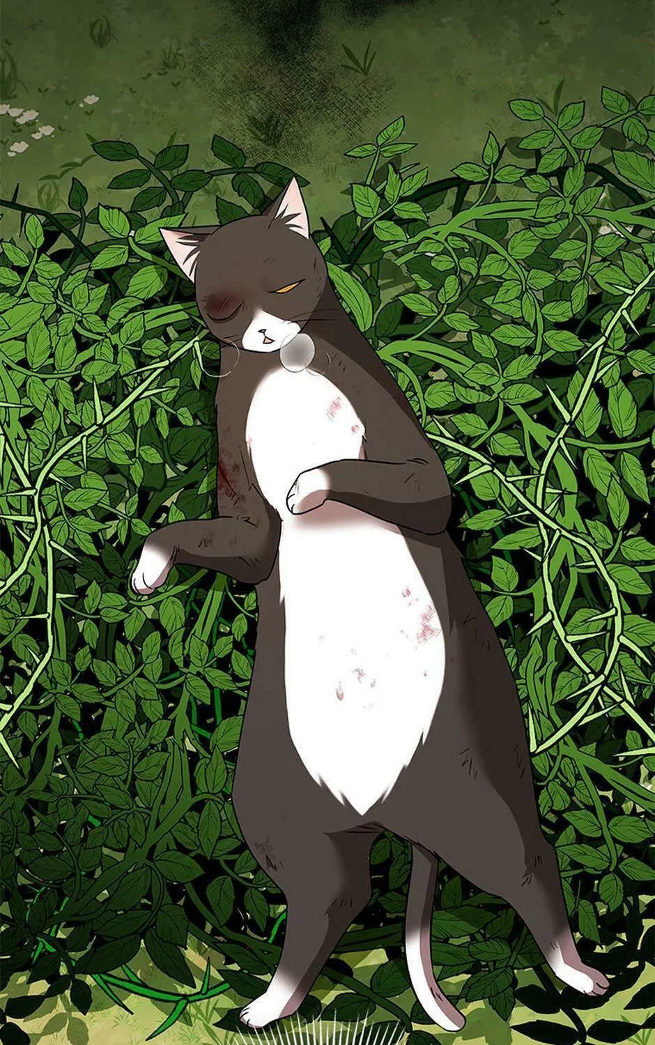 Veterinarian! Hello? Chapter 27 page 95 - 