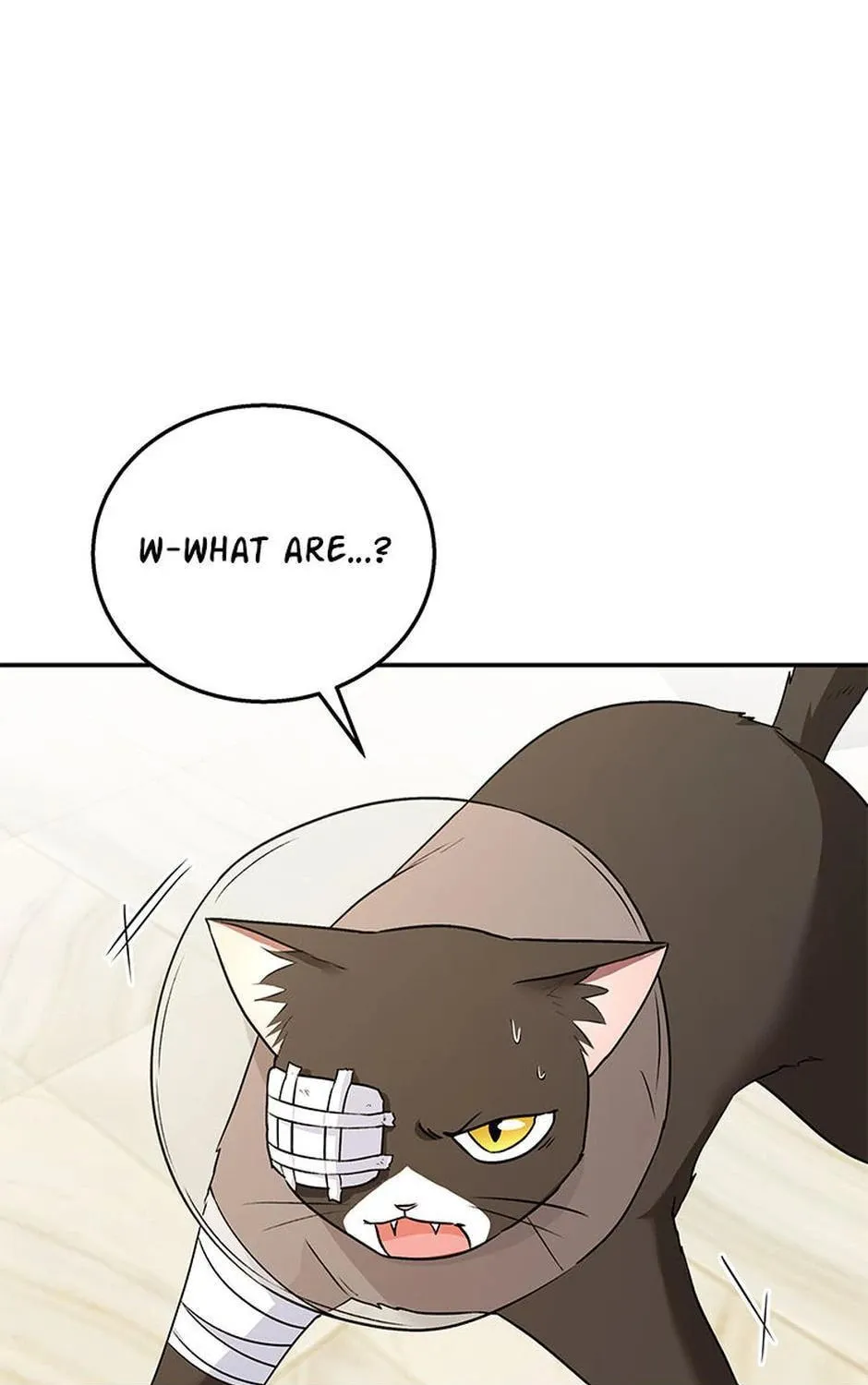 Veterinarian! Hello? Chapter 28 page 1 - 